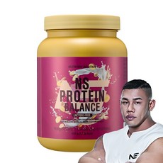 NS 프로틴밸런스 유당제로 락토프리 고구마맛, 1개, 450g