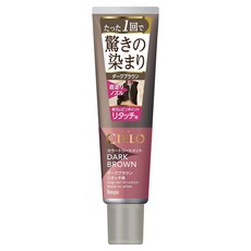 hoyu CIELO 彩色護髮染髮劑 補染用 140g, 深棕色, 1個