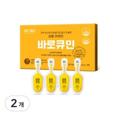 아리바이오 인도산 강황 추출물 수용성 나노 커큐민 바로큐민 액상형, 2개, 12g