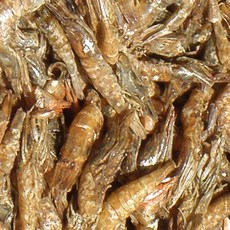 푸드모 홍새우 소두절 보리새우 먹새우1.5kg 건새우 볶음용 국물용 건어물, 1개