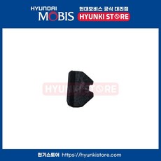 클립도어 오프닝 웨더스트립픽싱 (82134D1000)