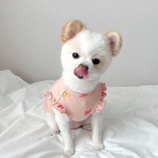 강아지 고양이 옷 실내복, 아이보리, 화이트계열