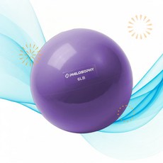 Philosophy Gym 필로소피 짐 토닝볼 토닝 볼 - 소프트 웨이티드 미니 메디신 볼 코어 근력 강화 JS, 1개