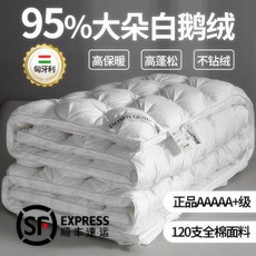 호텔구스 이불 구스다운 호텔이불 한파 겨울용 침구거위 겨울 5성급 호텔 두꺼운 따뜻한 거위, A. 화이트(업그레이드)