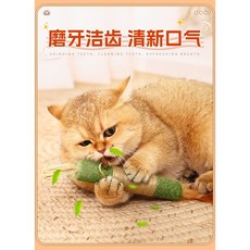 貓薄荷磨牙棒超大逗貓自嗨解悶神器貓咪玩具球耐咬消耗體力木天蓼巨無霸磨牙棒, 1個, Green