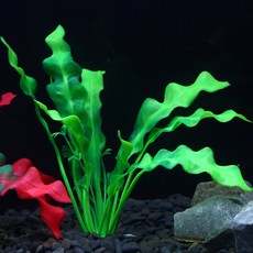 영아쿠아 인조 수초 크립토코린 웬디티 소, 5개