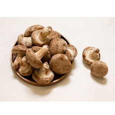 문경 유황 백송화버섯 분말 120g, 1개