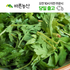 < 바른농산 > 국내산 쑥갓, 1개, 2kg
