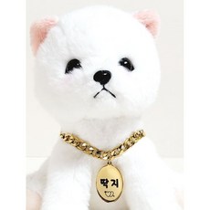 서은이네 애견이름표 강아지인식표-타원형 굵은 써지컬스틸 체인목줄, 실버 원형, 1개