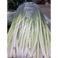 국내산 5kg 손질대파 깐대파 절단대파 신선대파, 1개