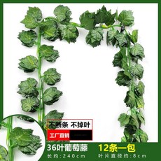 仿真葡萄葉藤蔓爬山虎藤條，常青藤綠蘿植物假綠葉吊頂裝飾，台灣熱銷綠植裝飾, 36葉彩印葡萄藤（12條裝）, 1個