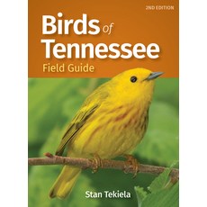 (영문도서) Birds of Tennessee Field Guide Paperback, Adventure Publications, English, 9781647552152