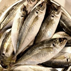 통영 정치망 전갱이 소 5kg 구이용 40마리 전후 식당용 벌크, 1개, 전갱이 구이용 소 5kg (40마리전후)