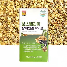 고미네 보스웰리아상어연골65정(500mg x 180정)