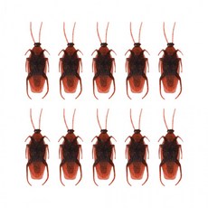 바퀴벌레 모형 10p, 1개, 상세페이지 참조