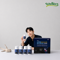 웰러스 소연골 콘드로이친 관절건강 1000mg*60정, 4개, 60정