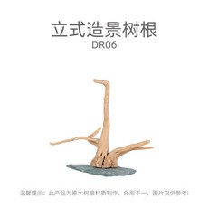 파충류 유목 애완동물 거북이 레온 뿌리 나무 도마 수목, 천연 조경수 뿌리 S호