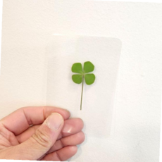 책 선물 네잎크로바 코팅크로바, 본상품