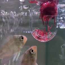 투요 아크릴 생먹이 피딩컵 어항데코 어항부품 어항장식, 아크릴피딩컵