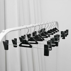 베이직 바지걸이 10p 집게형 54966EA 1(ea), 색상, 1개