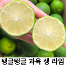 수입 생 라임 생라임 중 대과 프리미엄 신선하고 과즙 탱탱 가정용 업소용 카페 납품용 LIME, 1박스, 중대과 10개입(개당95g내외)