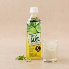 노브랜드 Fresh 과일 제로 음료 알로에 500ml, 20개