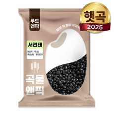 국산 서리태 500g 서리태콩 검은콩 속청, 1개