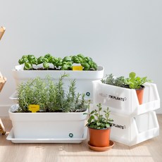 피플랜트 식용 허브 모종 키우기 텃밭화분 로즈마리 스위트바질 애플 민트 타임 라벤더 모음, 추가 옵션 : 모종삽, 1개