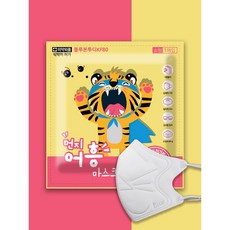 블루인더스 먼지 어흥 방역 마스크 새부리형 소형 KF80, 1개입, 100개, 백색