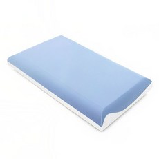 본질베개 경추지지 메모리폼, 1개, 화이트 블루