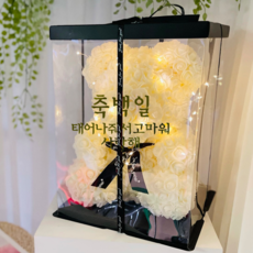 로즈베어 L 사이즈+전용투명케이스+리본+LED와이어전구+종합문구 시트지 골드, 아이보리, 1개