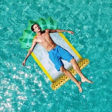 이런샀네 과일 물 해먹튜브, pineapple, 1개