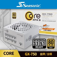 Seasonic 海韻 ATX3 CORE GX 750瓦 金牌全模組 電源供應器, CORE GX-750
