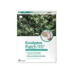 에센스네이쳐 유칼립투스 수액패치 30매 + 4매, 1개, 30개입
