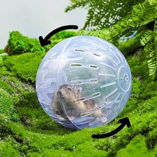 더휴즈 햄스터 볼 운동 공 운동시키기