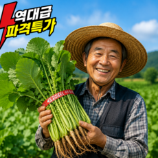 [품절대란] 재구매1위 국내산 열무 특품, 1박스, 4단