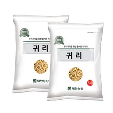 대한농산 수입 귀리 10kg (5kgx2), 2개, 5kg