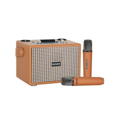 AIWA 愛華 K歌藍芽音箱 AI-KBQ20, 棕色