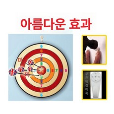 스탠드형 다트판 돌림판 돌려돌려 룰렛 다트게임, 1개, 벽걸이형 자석판 100cm + 5개 스탠드없음