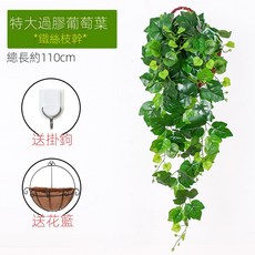 仿真綠蘿客廳掛墻綠植 壁掛植物裝飾 垂吊假花藤 條室內藤蔓吊蘭吊籃, 特大過膠葡萄吊蘭1束(送椰棕籃), 1個