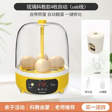 미니 부화기 달걀 닭 6구 반자동 회전 자동 계란, USB자동(무료USB케이블)기프트봉투4장