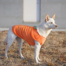 멍트렌드 강아지 당근옷 조끼 보들보들 겨울옷, 1개, 대형견