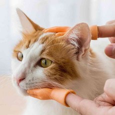 단디 고양이 손가락 마사지 고양이소품, 손가락-양손, 1개