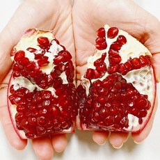 더노랑 석류 팬시 미국산 생석류 특대과, 1박스, 팬시 1.3kg 2-3과