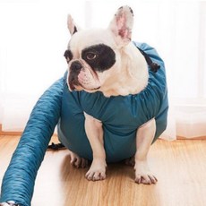 반려동물 펫 드라이 건조복, ONE