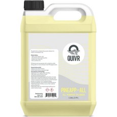 QUVR 파인앱올 APC 시트러스 다목적 세제 128온스 – 전문가용 강력한 실내외 중장비용 세척 농축액 플라스틱 비닐 직물 휠 패널용, 128 플로우 온스 (1개 팩)