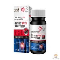 네이처그랜드 관절 연골 엔 엠에스엠 글루코사민1500 2100mg, 60정, 2개