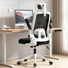 POVEST 컴퓨터 의자 가정용 인체공학 의자 사무용 의자, 하얀색