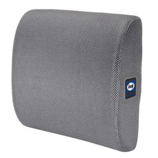 Sealy 사무실 의자 및 자동차 시트용 인체 공학적 요추 지지 베개 - 메모리 폼 등 지지 요추 베개 허리 통증 완화 및 다용도 사용을 위한 프리미엄 쿠션 의자 지지대 (그