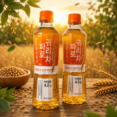 롯데칠성음료 건강을 더하다 파로 귀리차 500ml 6개
